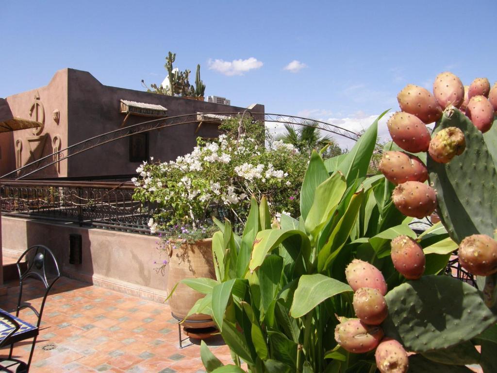 Riad Mehdia Marrakesh Exterior foto